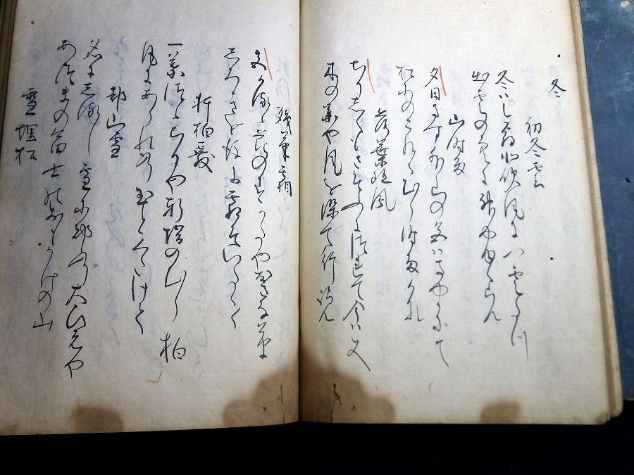 イメージ 7
