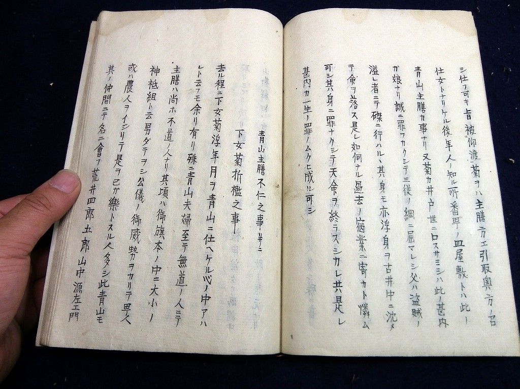 イメージ 8