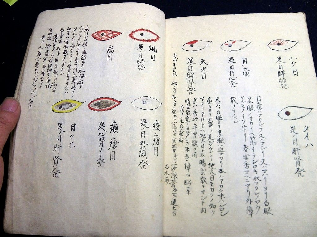 イメージ 11