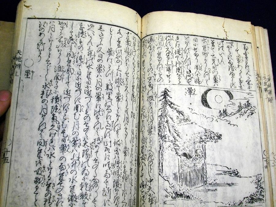 イメージ 4