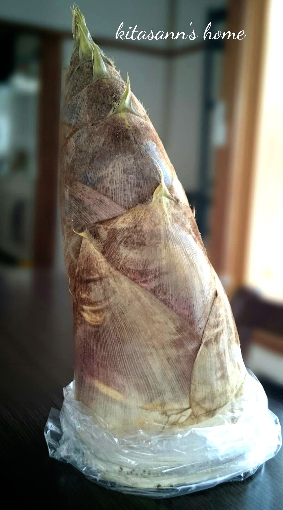 大きいタケノコ Kitasann S Home Blog