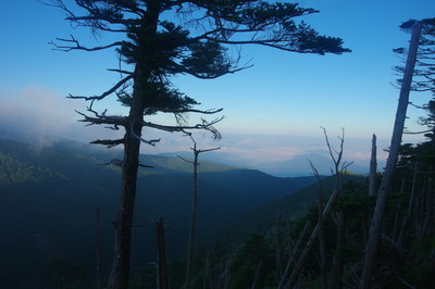 雲海