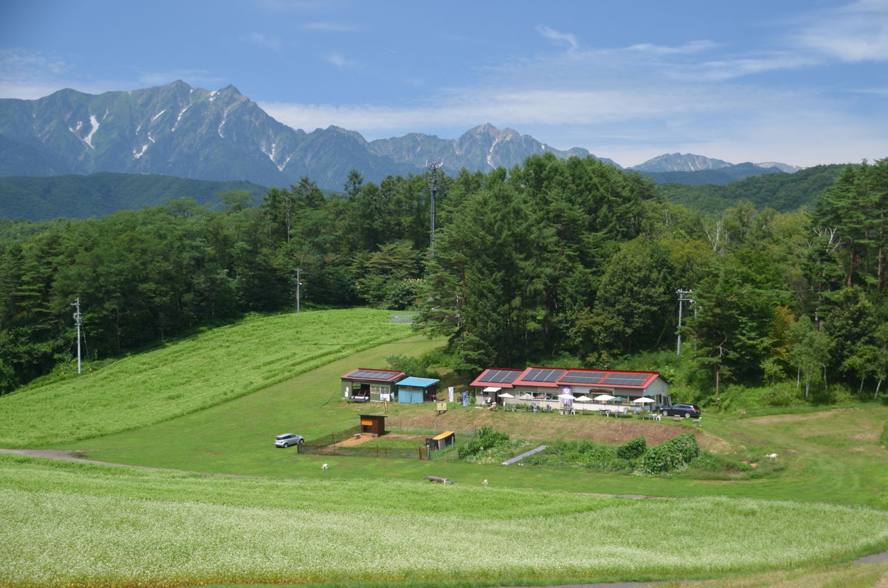 中山高原そばの花と鹿島槍ヶ岳 白馬ジャンプ競技場でサマージャンプ 長野県安曇野市在住 Kitazawaのブログ
