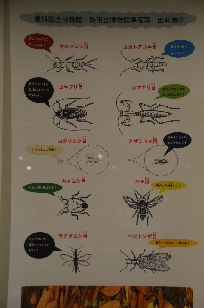 昆虫類の説明と蝶の標本 書道パフォーマンスを行なった場面 長野県安曇野市在住 Kitazawaのブログ