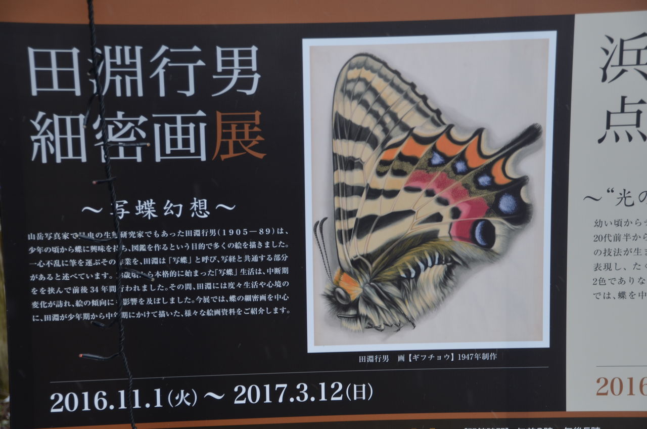 田淵行男記念館細密画展.生涯206回登頂した常念岳、参議院議場