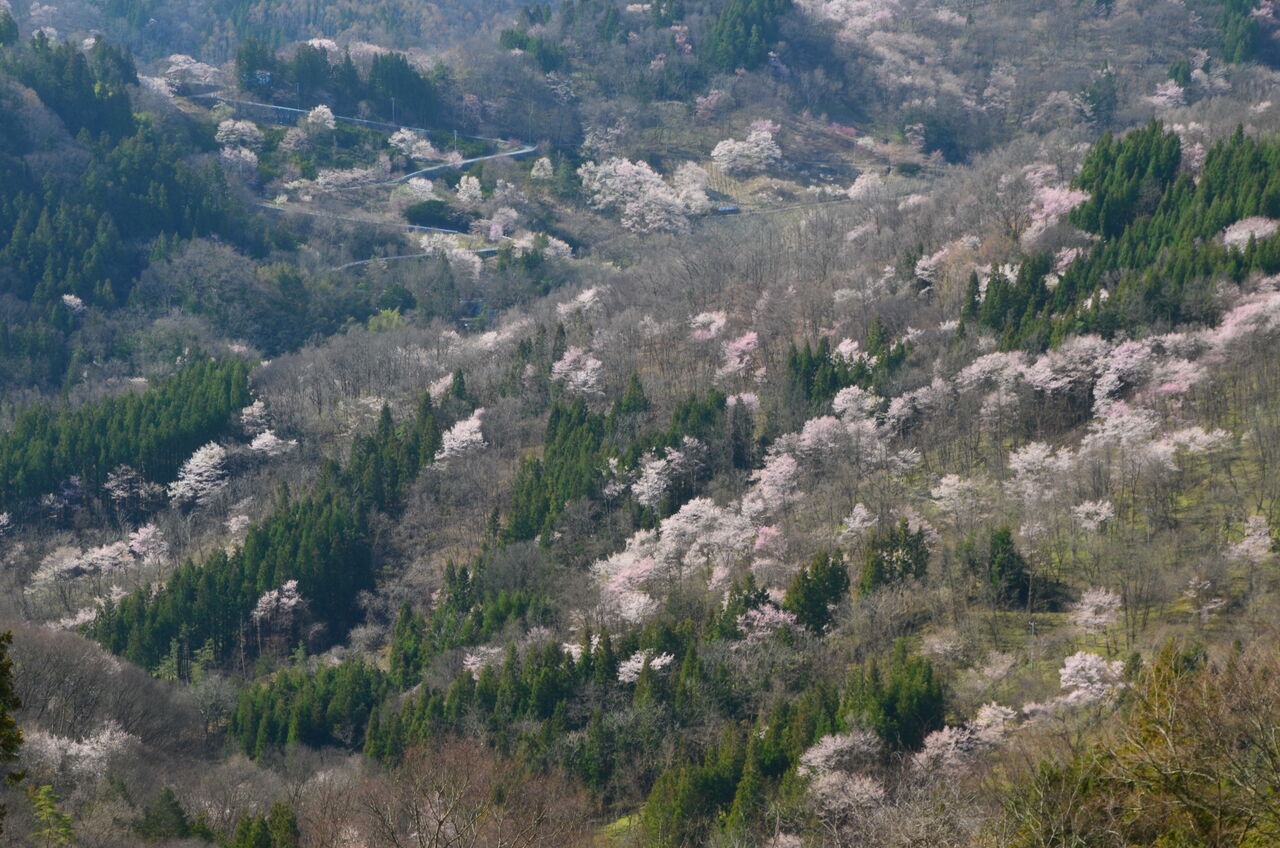 県内長野 松本広域圏レベル2 桜仙峡から桜劇場 ままこ落しの土柱 八重桜が開花 長野県安曇野市在住 Kitazawaのブログ