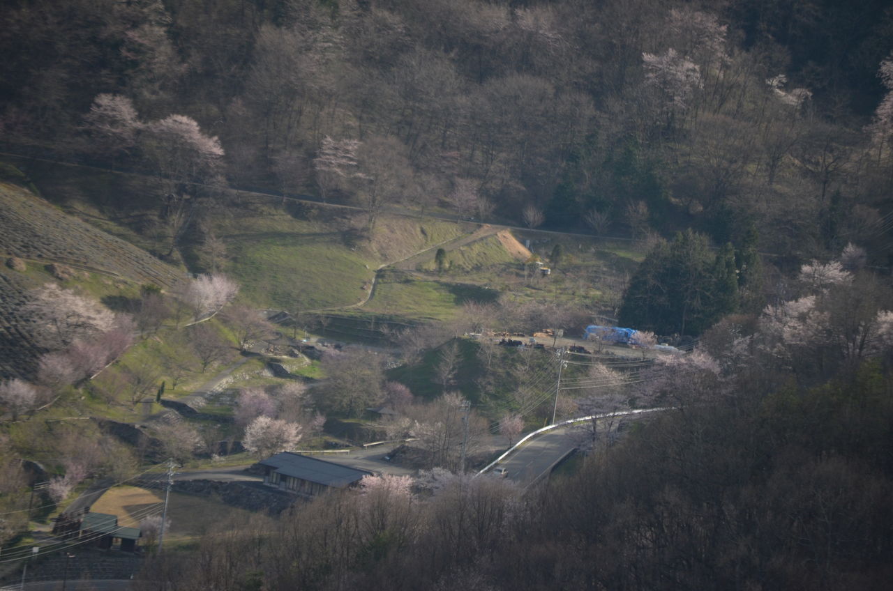 東の陸郷桜 六道の堤 長野県安曇野市在住 Kitazawaのブログ 東の陸郷桜 六道の堤 長野県安曇野市在住 Kitazawaのブログ