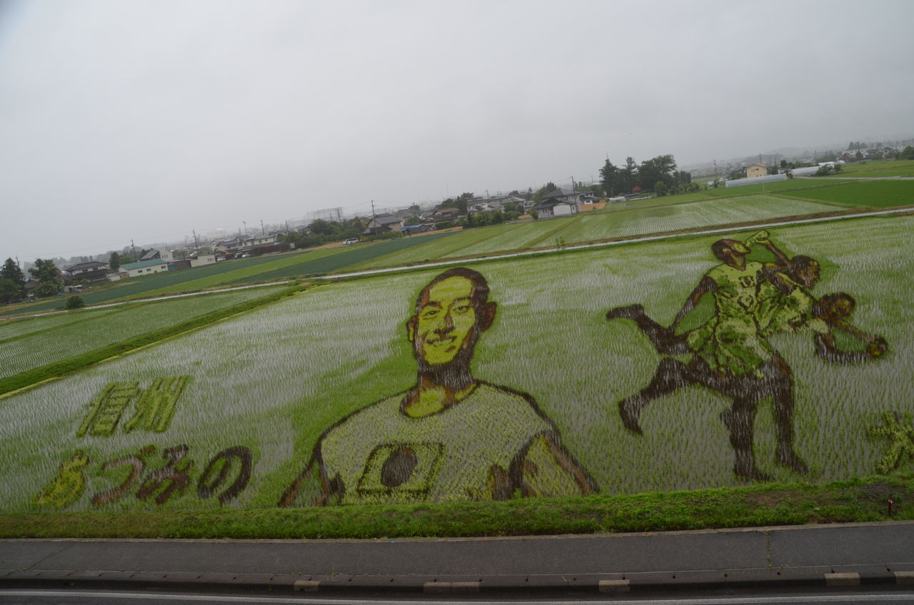大谷翔平選手サイクルヒット 中村勘九郎さんの田んぼアート 大峰高原のカエデが色ずき 紅 白コマクサ スバールバルライチョウ 長野県安曇野市在住 Kitazawaのブログ