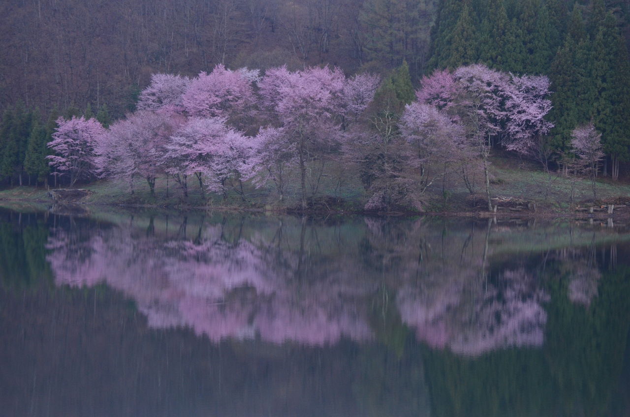 大山綱栄