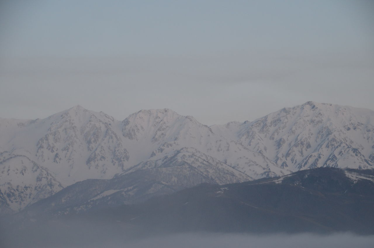 野平の一本桜情報 27日開花 栂池高原の桜 大出公園の桜開花 長野県安曇野市在住 Kitazawaのブログ