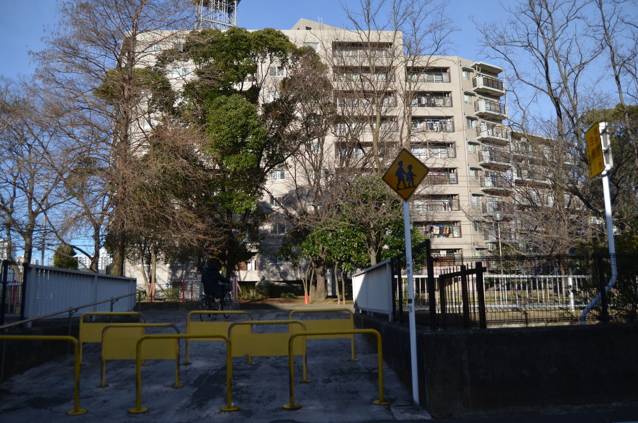 貴乃花部屋移転 八坂大滝 長野県安曇野市在住 Kitazawaのブログ