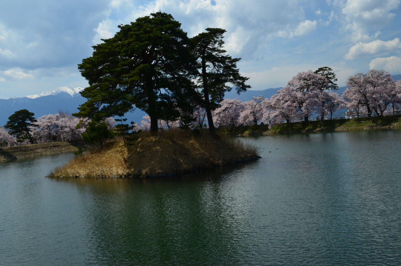高遠城址公園の桜 六道の堤と桜 長野県安曇野市在住 Kitazawaのブログ 高遠城址公園の桜 六道の堤と桜 長野県安曇野市在住 Kitazawaのブログ