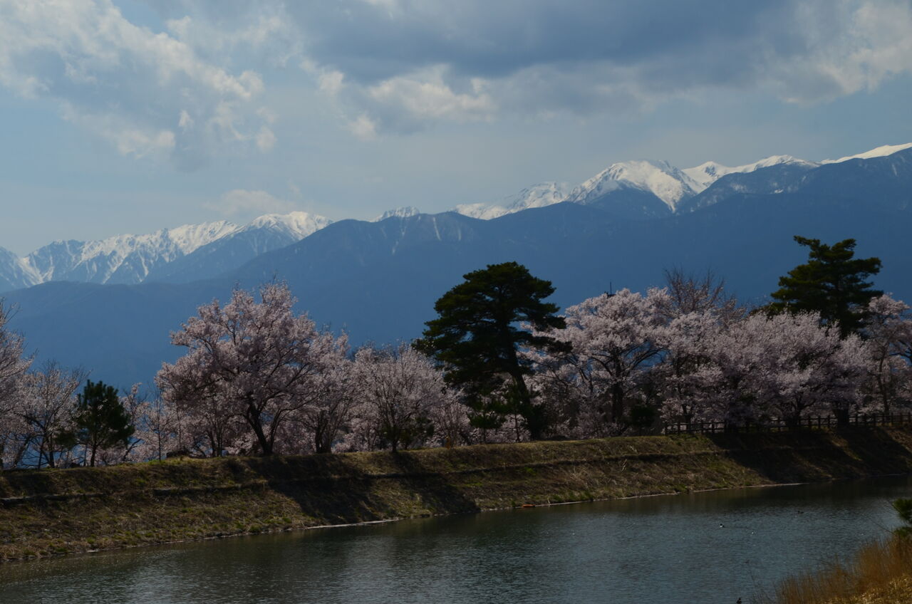 高遠城址公園の桜 六道の堤と桜 長野県安曇野市在住 Kitazawaのブログ 高遠城址公園の桜 六道の堤と桜 長野県安曇野市在住 Kitazawaのブログ