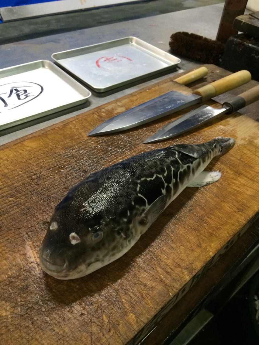 神奈川県ふぐ包丁師試験のために 除毒技術を磨く毎日 食生活日記 神奈川県ふぐ包丁師試験のために 除毒技術を磨く毎日 食生活日記