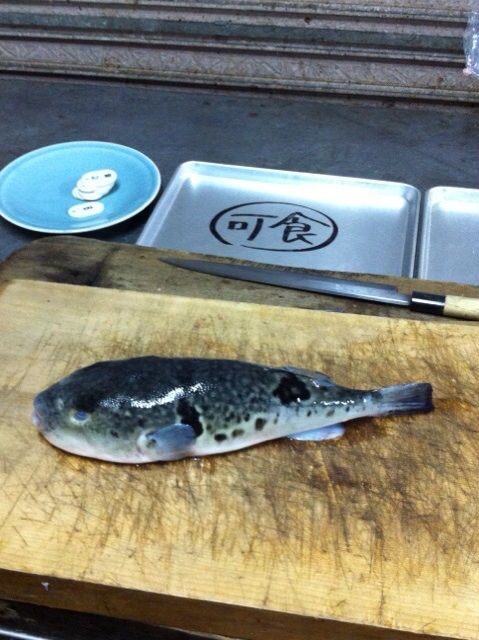 ふぐの練習 食生活日記 ふぐの練習 食生活日記