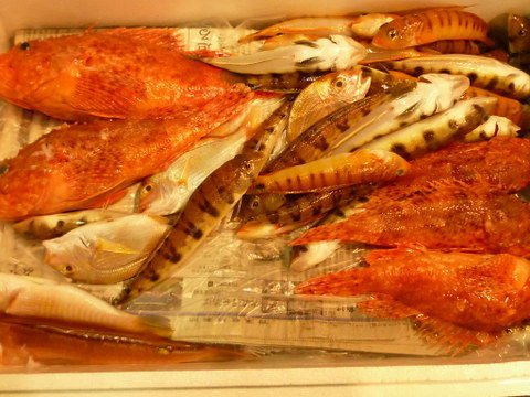 シロギスの天ぷらと釣りアジの刺身 食生活日記
