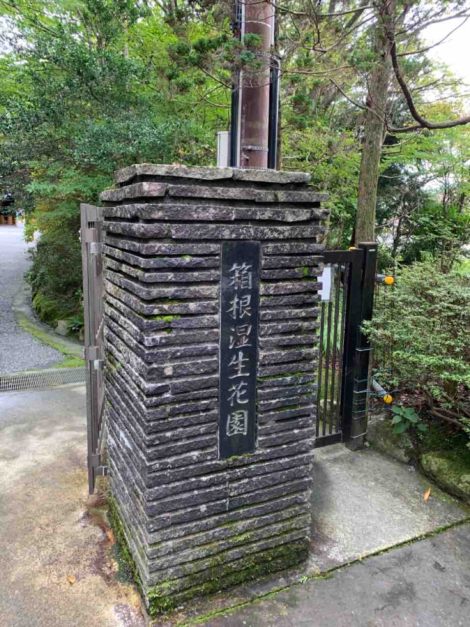箱根湿性花園 食生活日記 箱根湿性花園 食生活日記