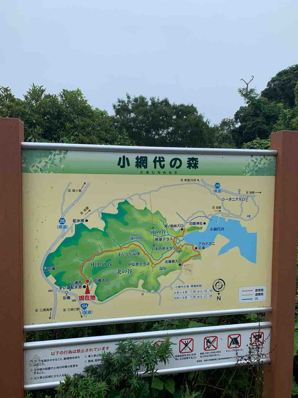 小網代の森 食生活日記