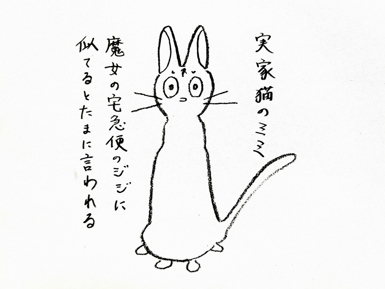 カルディ猫バッグ19 夏バージョンを紹介 キッチン夫婦 Powered By ライブドアブログ