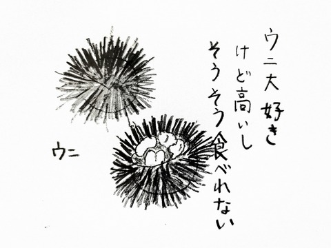 20191103_214232