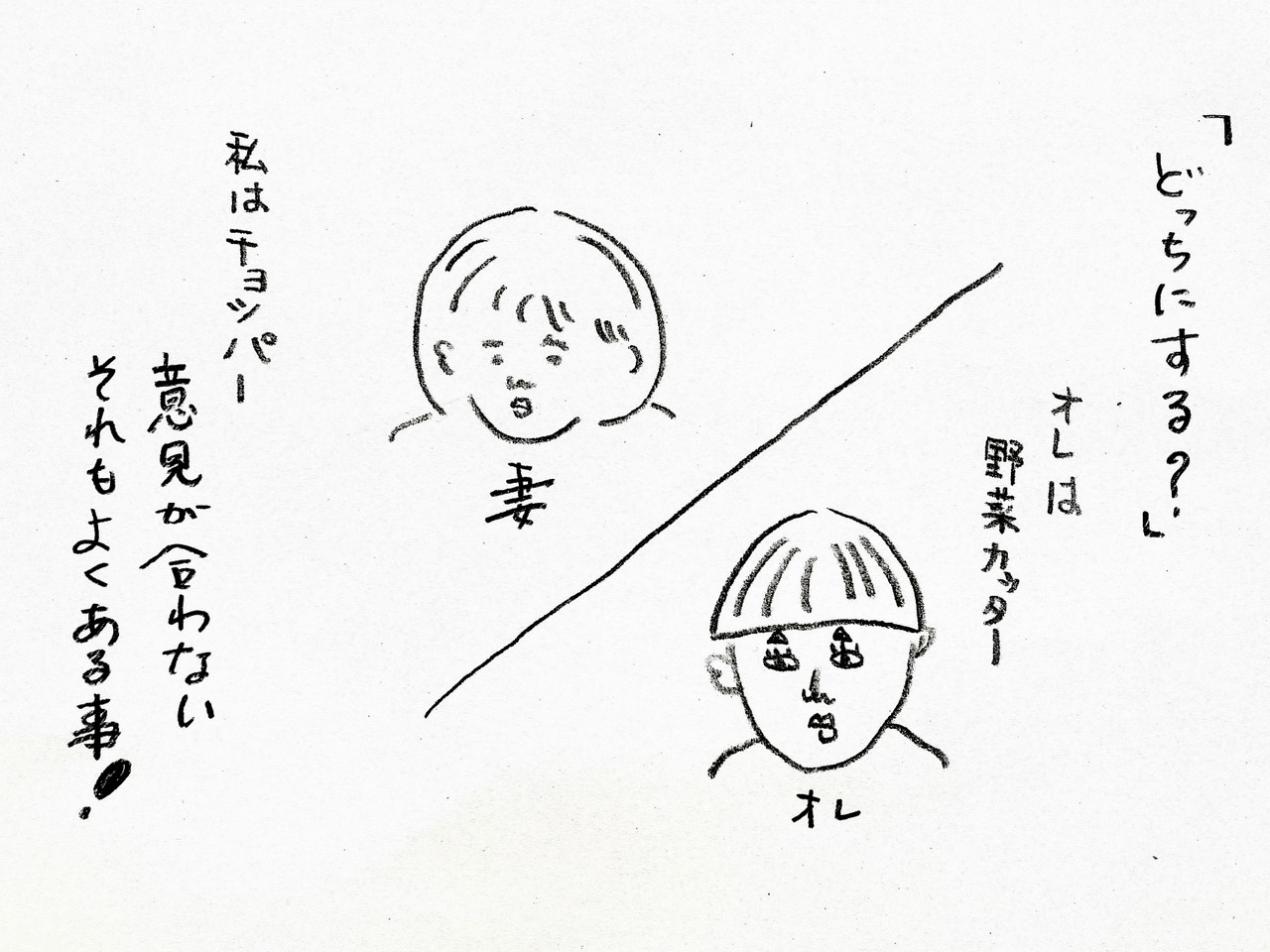 ダイソーハンドル野菜カッター 妻と意見が合わない キッチン夫婦 Powered By ライブドアブログ ダイソーハンドル野菜カッター 妻と意見が合わない キッチン夫婦 Powered By ライブドアブログ