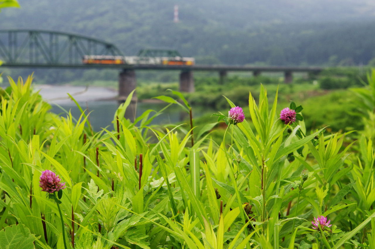 鉄橋のある鉄道風景のblog