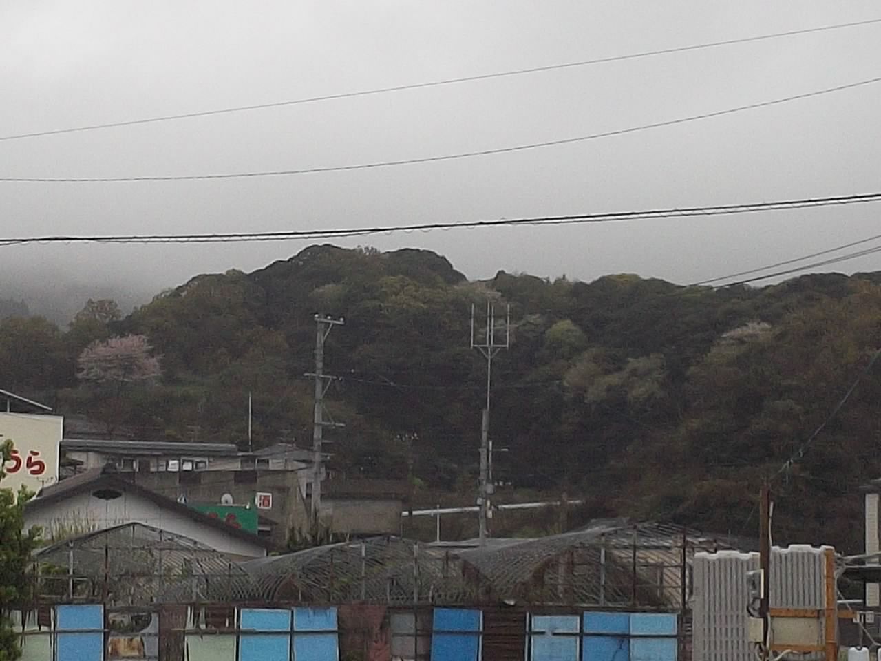 イメージ 2
