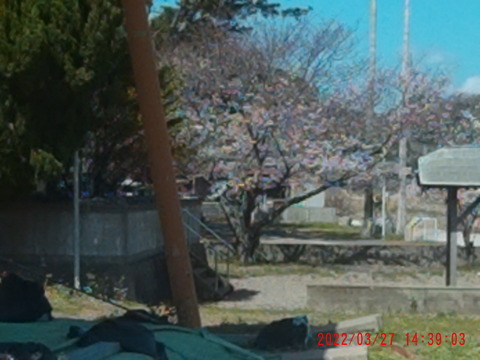2022_0327_143904_001