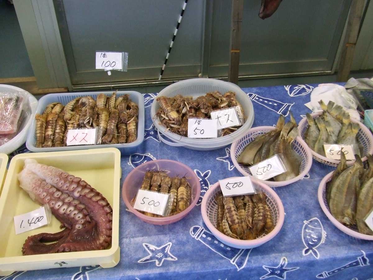 シャコの季節 Mambo Bacan