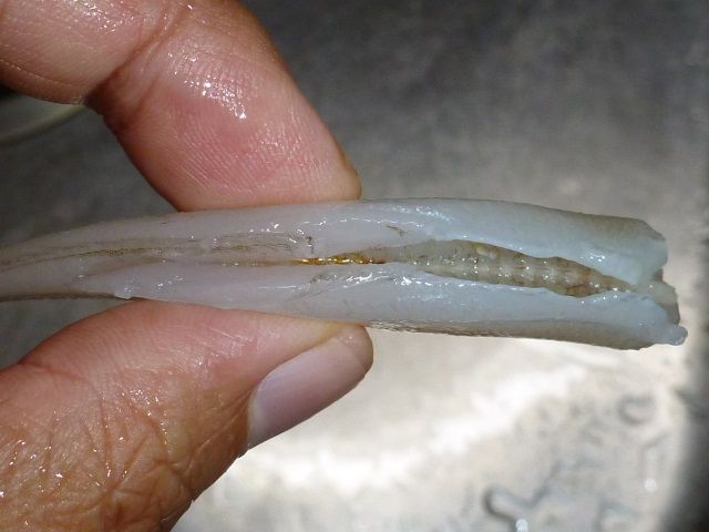 小型キスの料理 123通信 小型キスの料理 123通信