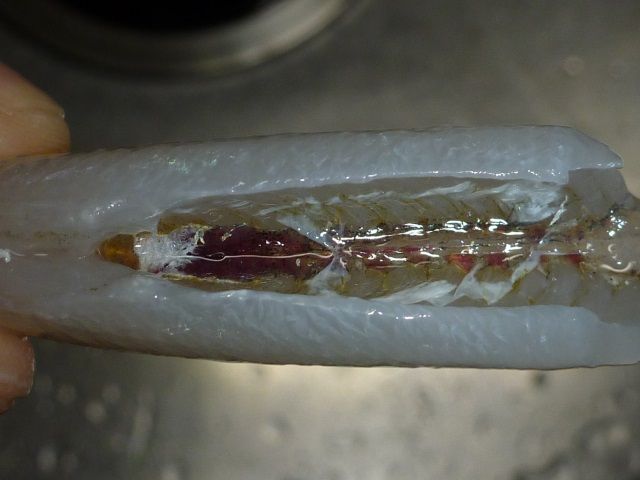 小型キスの料理 １２３通信