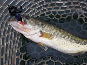 榛名湖の夏パターン １２３通信