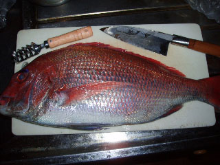 釣りの後の楽しみは鯛料理 １２３通信
