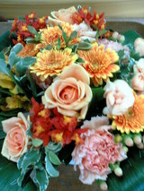 �֡�����