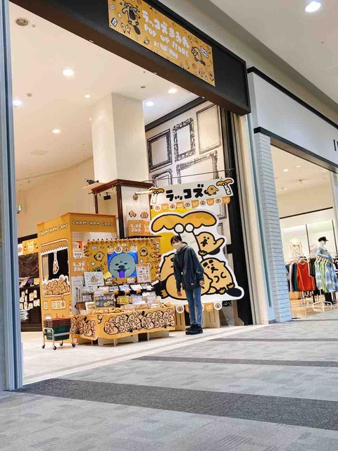 今日からアクティブに