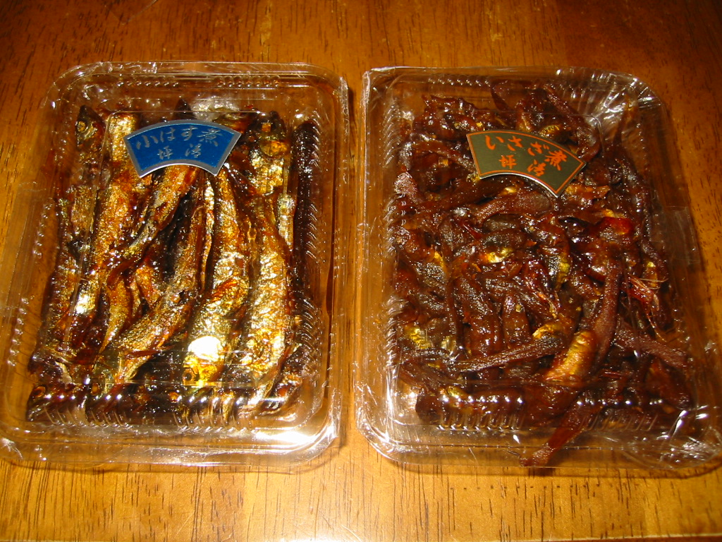イサザ 小ハスの佃煮 静岡県淡水生物館