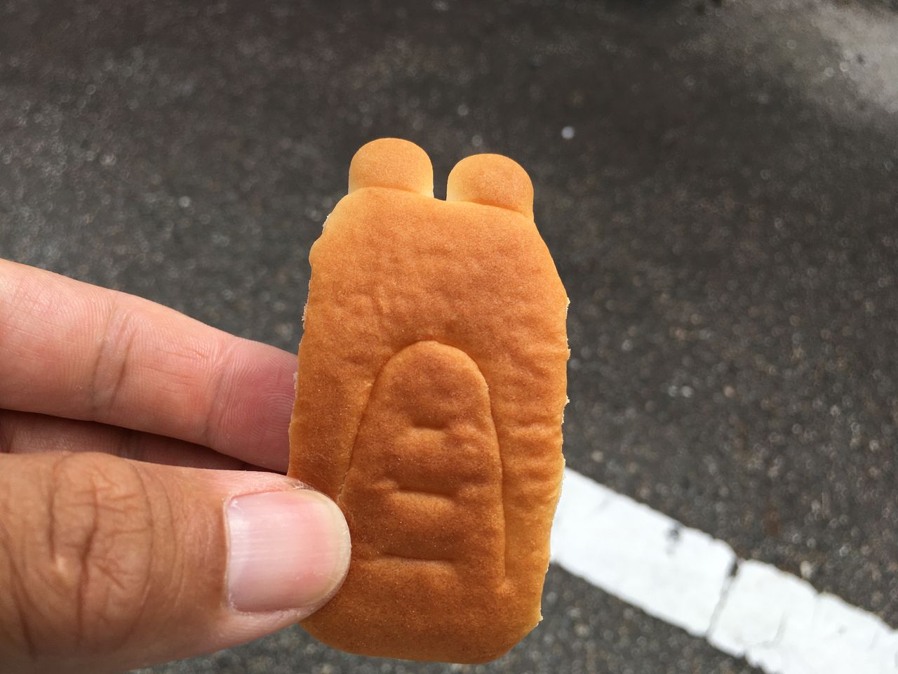 富山市 射水市クロダイ釣行 夜はシーバス狙い 狐の気晴らし釣り日記