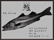 202108027スズキ縮小版