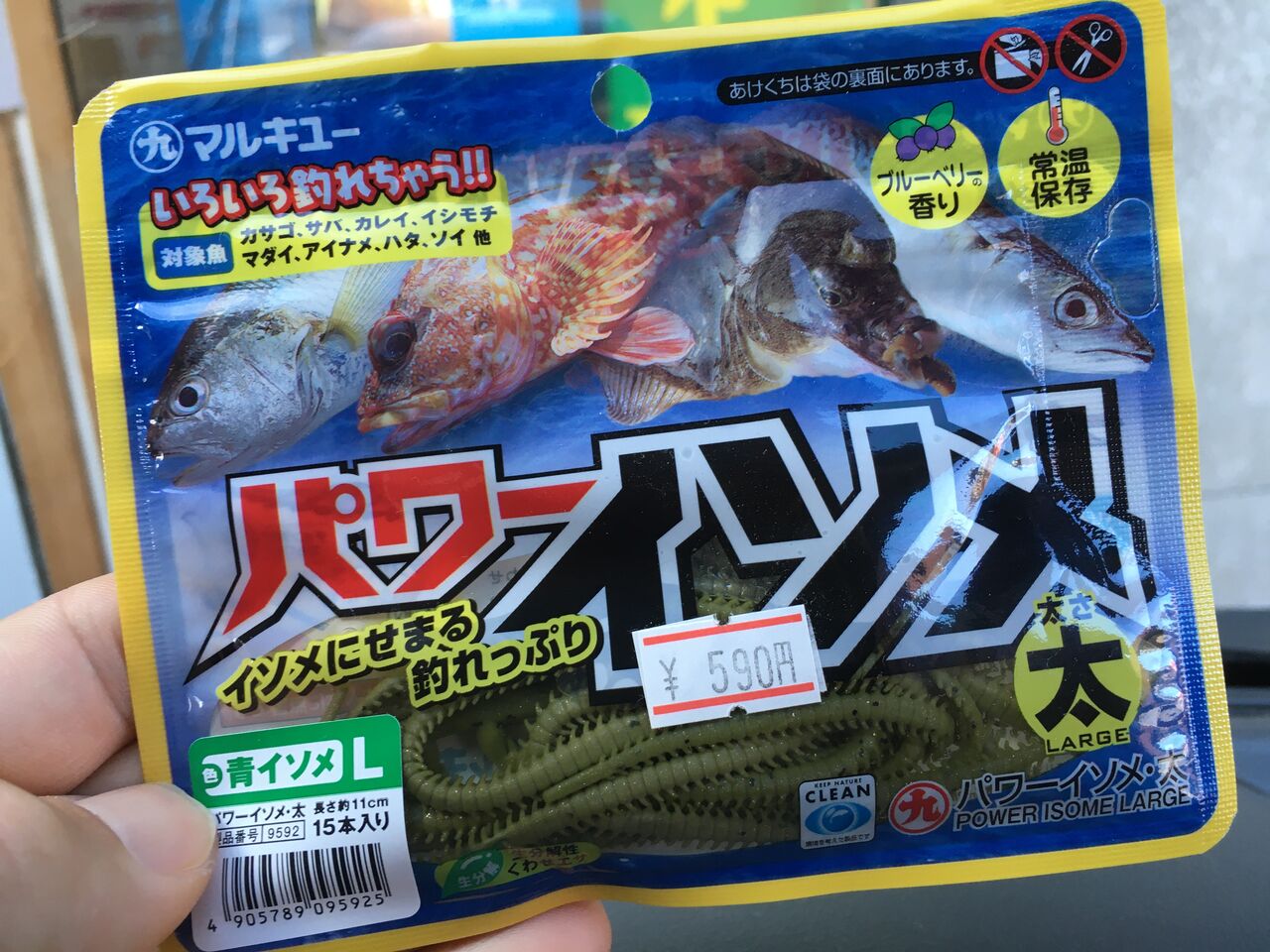 滑川1メバル 5カサゴ 狐の気晴らし釣り日記 滑川1メバル 5カサゴ 狐の気晴らし釣り日記