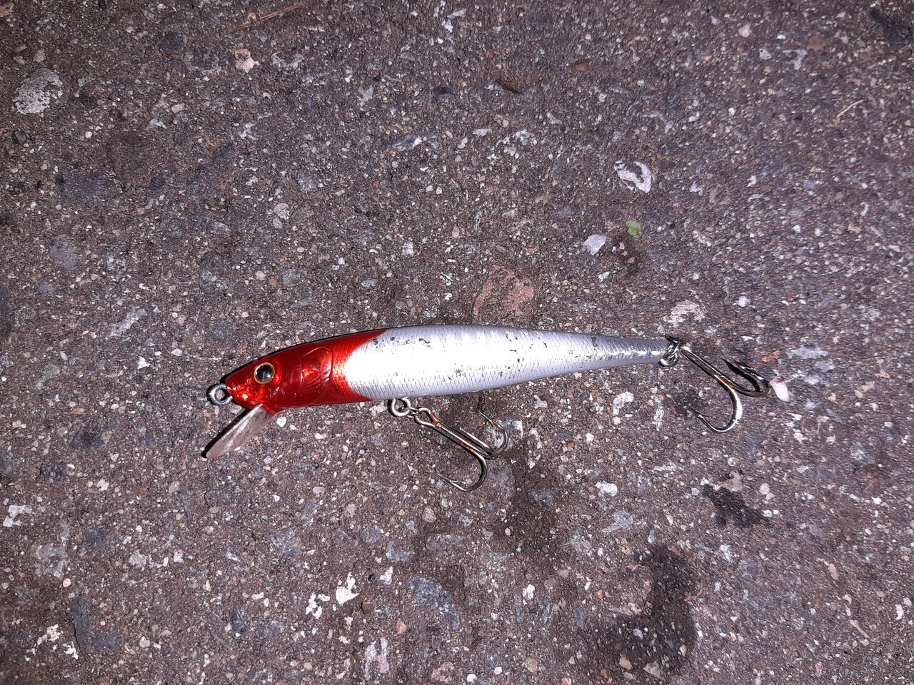 能登ナイトチニングで新記録 狐の気晴らし釣り日記 能登ナイトチニングで新記録 狐の気晴らし釣り日記