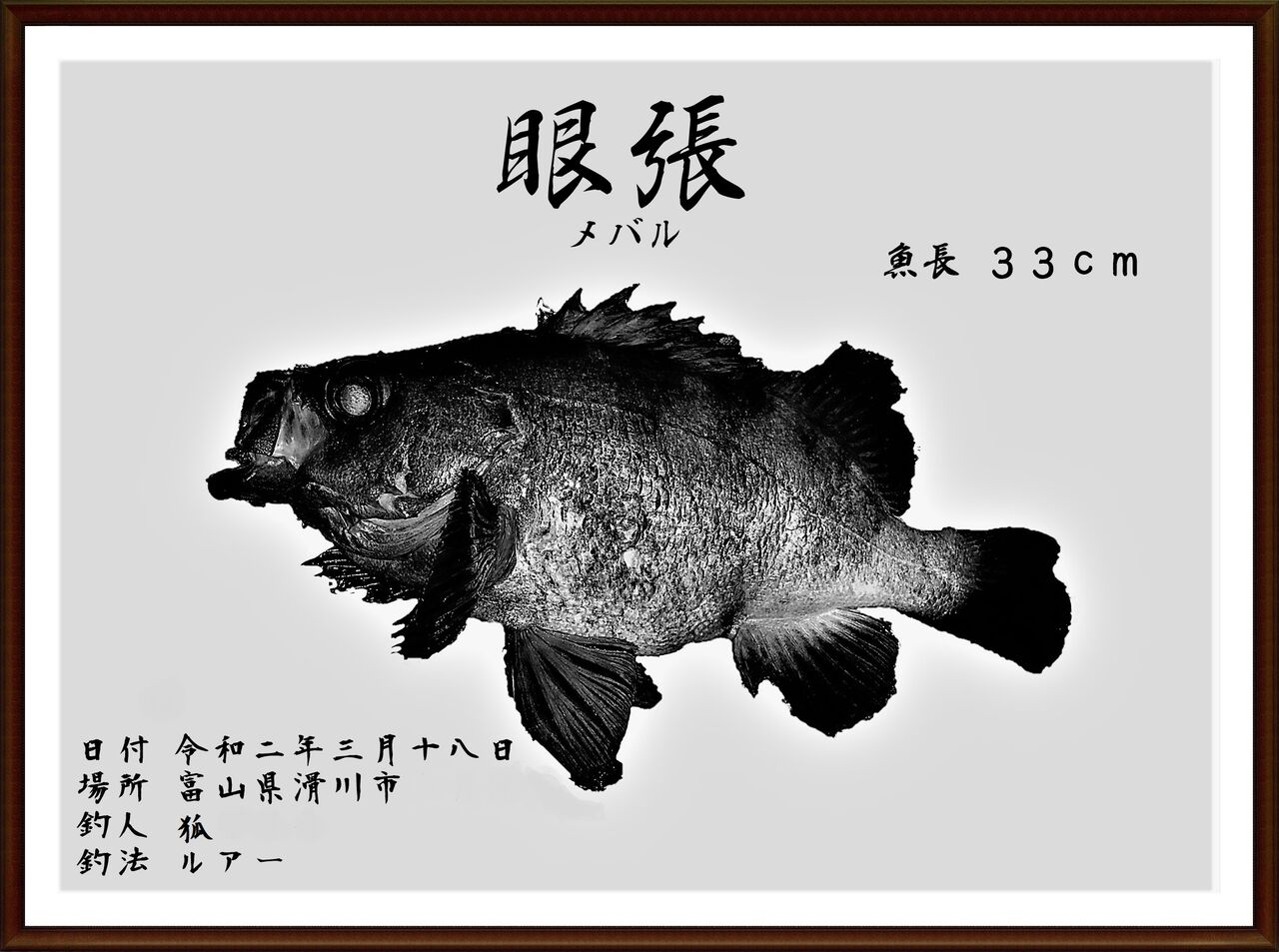 やっぱり釣り好きなのだと 狐の気晴らし釣り日記