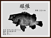 デジタル魚拓メバル狐版