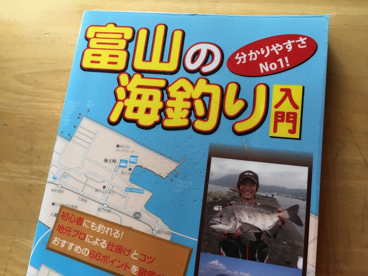 誘惑には勝てず 狐の気晴らし釣り日記