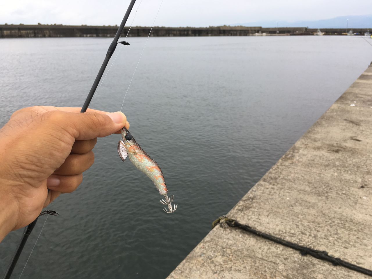 連続エラ洗いを食らうも 狐の気晴らし釣り日記