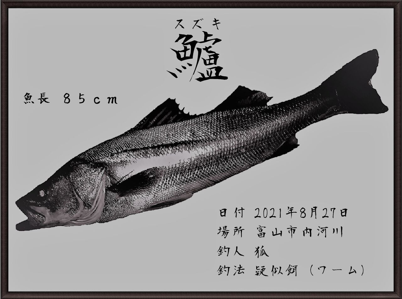 ランカーパンカーランチパンカーDRT シーバス