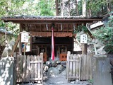 IMG20200317114741