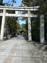 IMG20200317120713