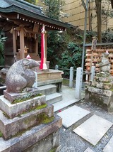 IMG20200317114604