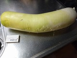 IMG20200113143753