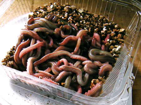 飼育用品と設備2 魚侠組ブログ